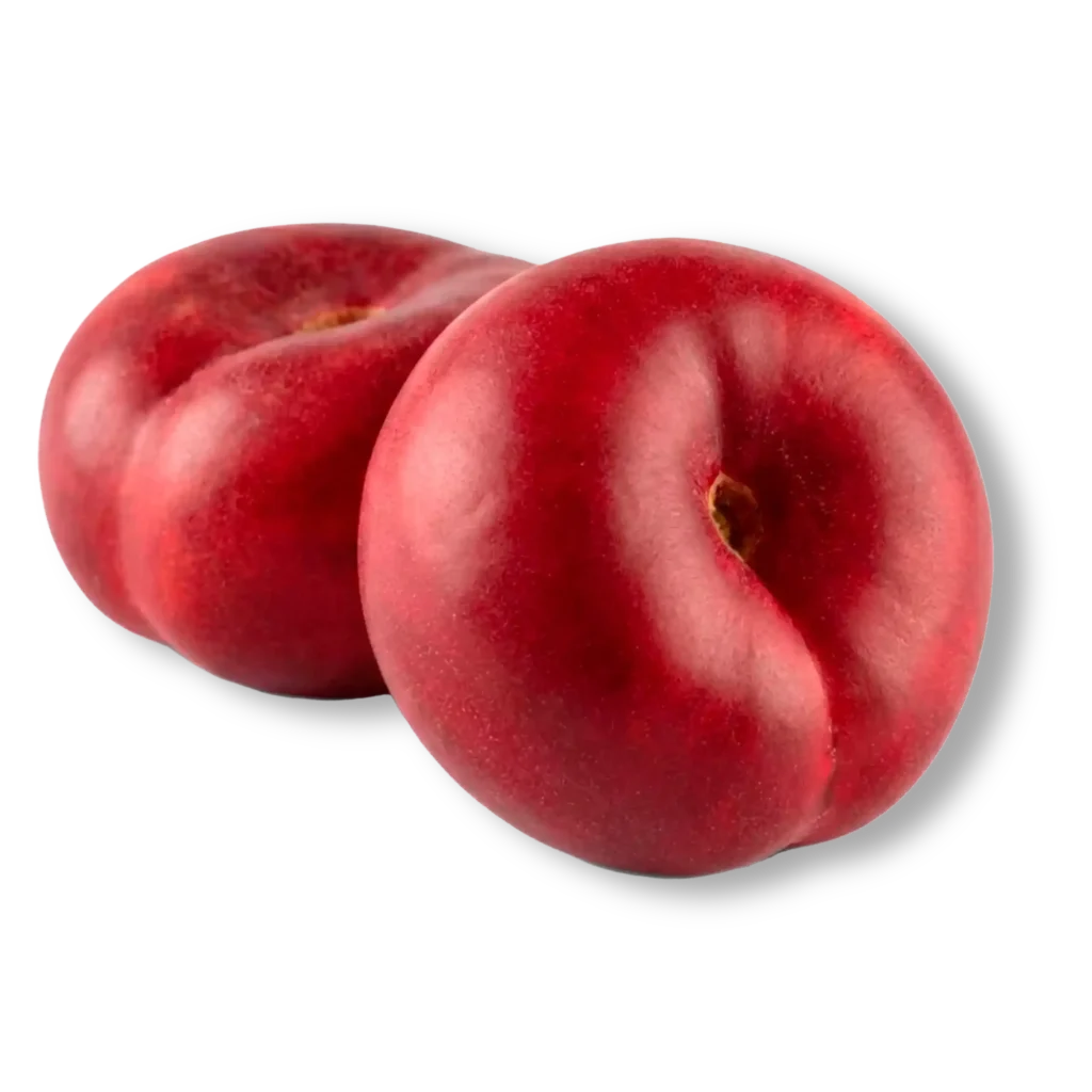 Platerina