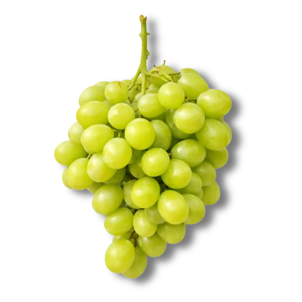Superior